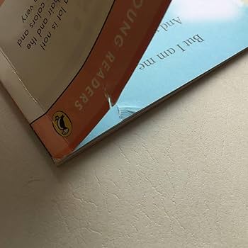 NM 英語　子供　本 FA First Little Readers C 25冊 箱なし 英語絵本 - メルカリ